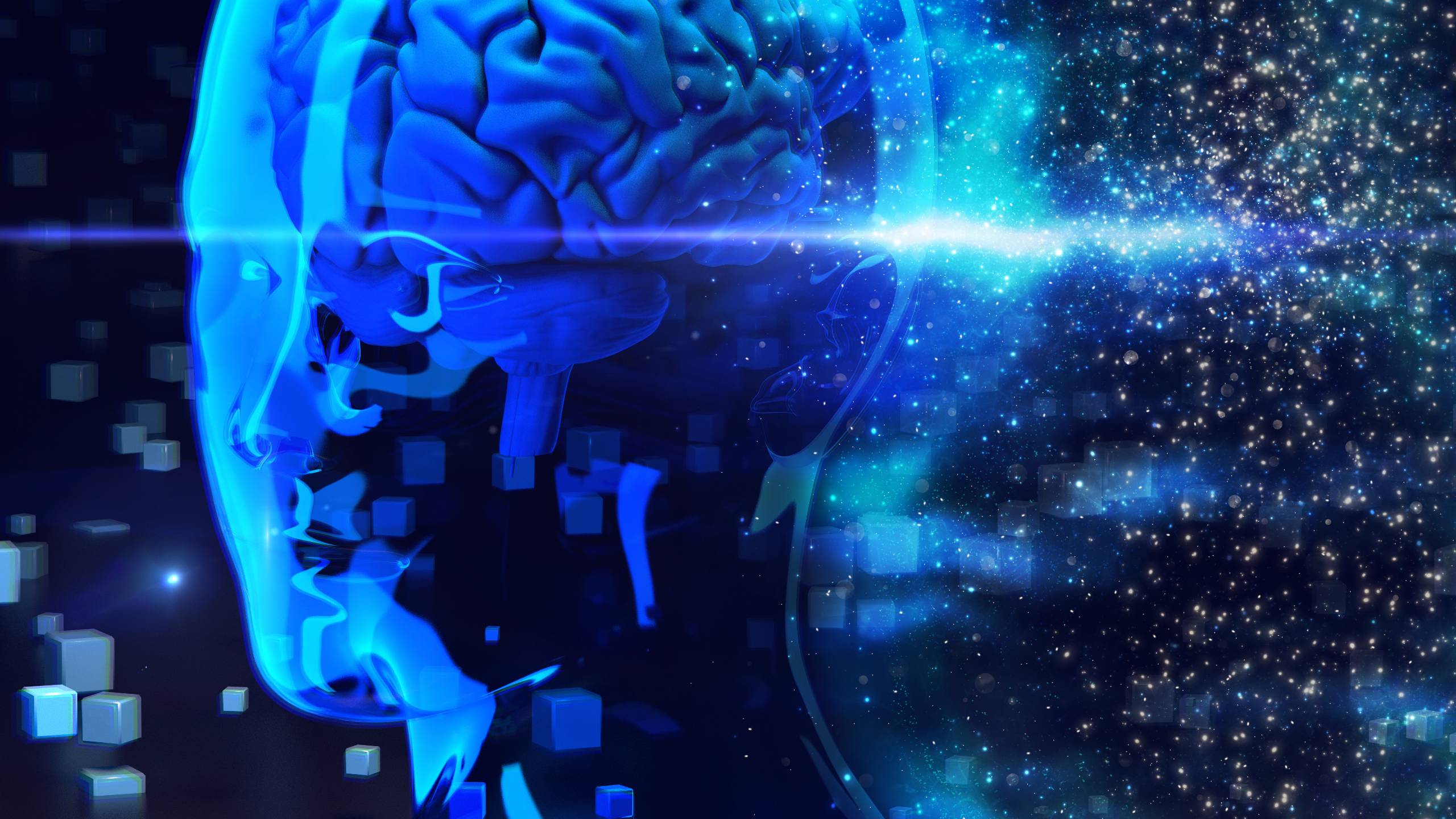 Management retail et neurosciences : le modèle SCARF pour booster l'engagement de votre équipe